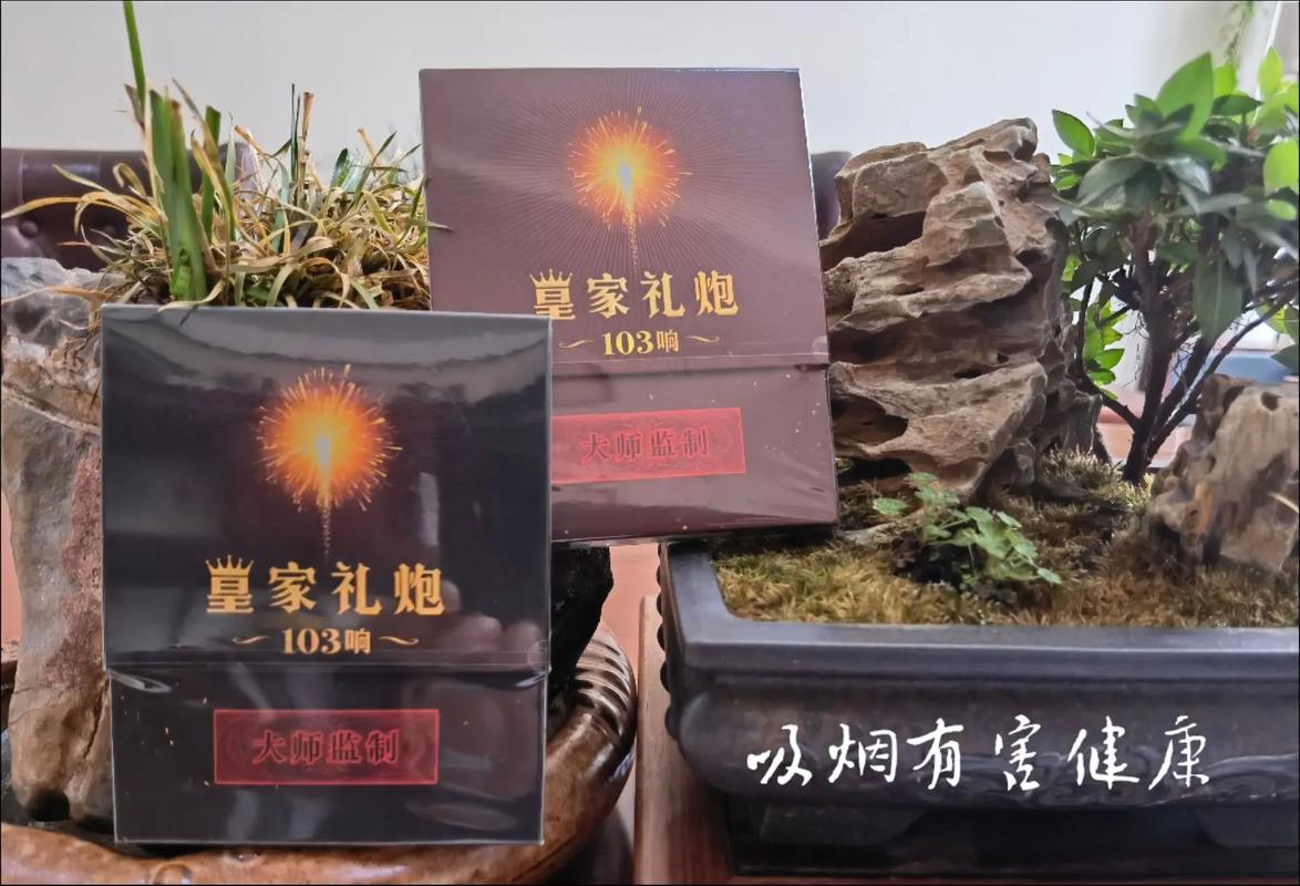 老炮里的外烟是什么烟啊(老炮中的烟)